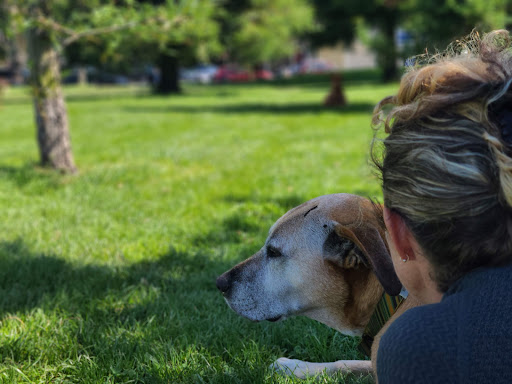 35684 golden gate home hospice and euthanasia
