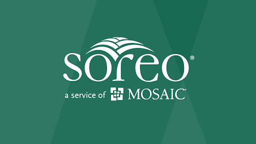 36965 soreo