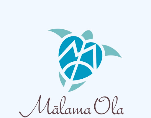 38000 mlama ola health services
