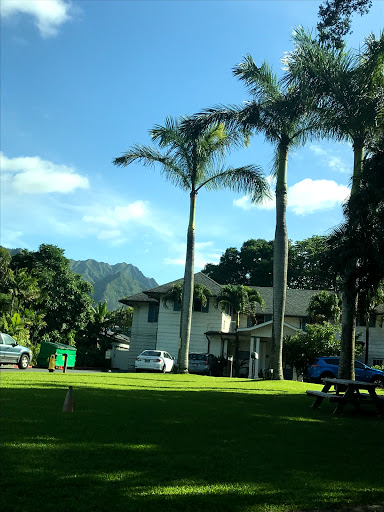 38003 st. francis hospice