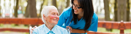 40386 divine fijians home care 1