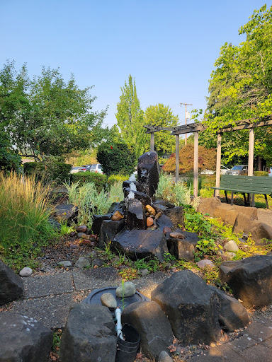 40564 willamette vital health