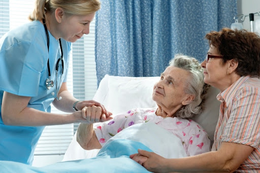 41944 holistic care hospice and palliative services inc 1