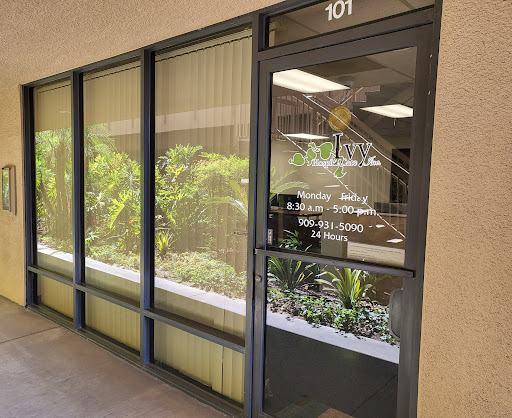 43730 ivy hospice care inc