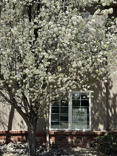 47829 maggies hospice flagstaff