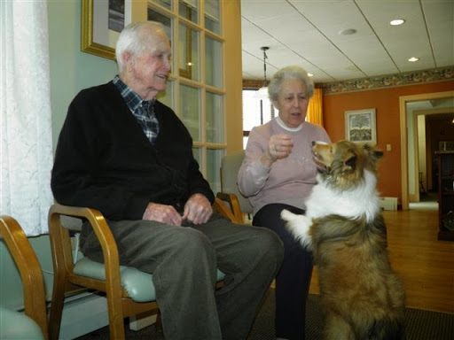 48976 north river home care