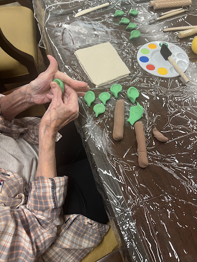51521 dierksen hospice