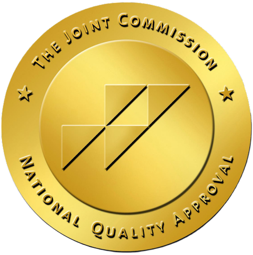 53642 abbot home health care