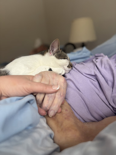 53774 at home hospice and palliative care