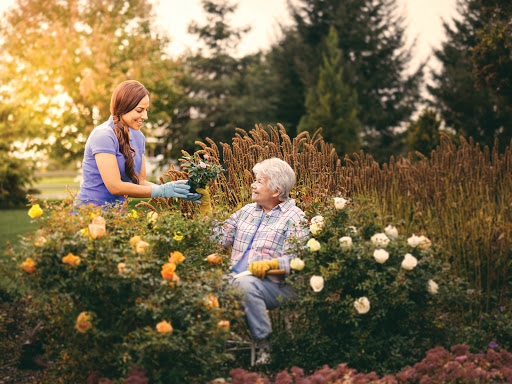 54058 griswold home care for mesquite